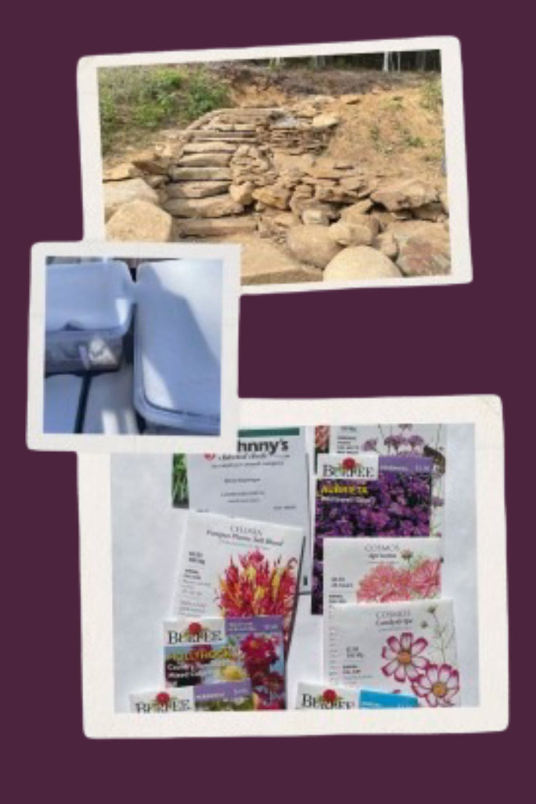 Winter Sowing: Planting Ahead for Spring (and Summer Flowers)