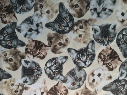 Cat Print Hat