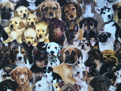 Doggie Print Hat